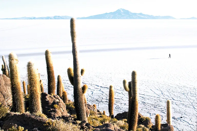 Salar de Uyuni in Bolivia