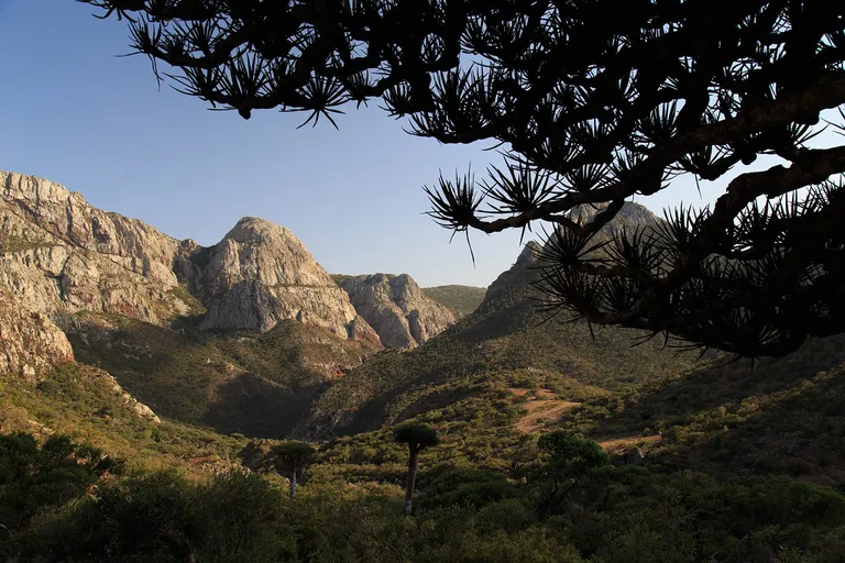 Socotra in Yemen