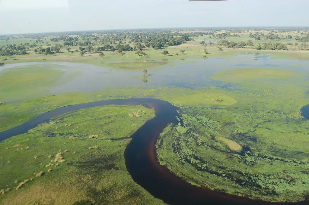 Okavango Delta in Botswana