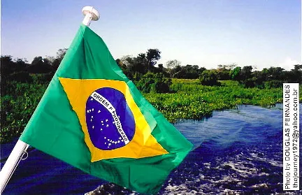 Pantanal in Brazil