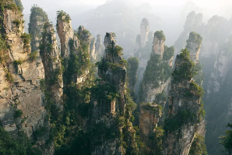 Misty sandstone pillars rising above forest in Zhangjiajie National Forest Park, Hunan, China