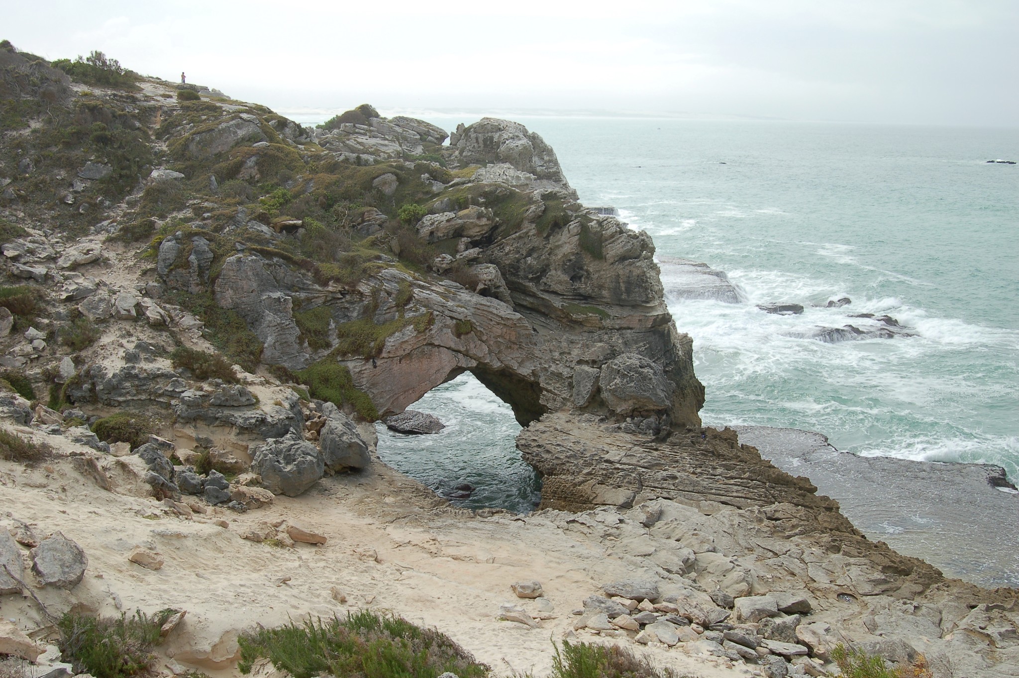 Arniston beach and Cape coastal landscape