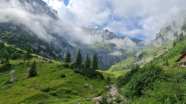 Green fields and forested hills in the Carpathian Mountains under a blue sky