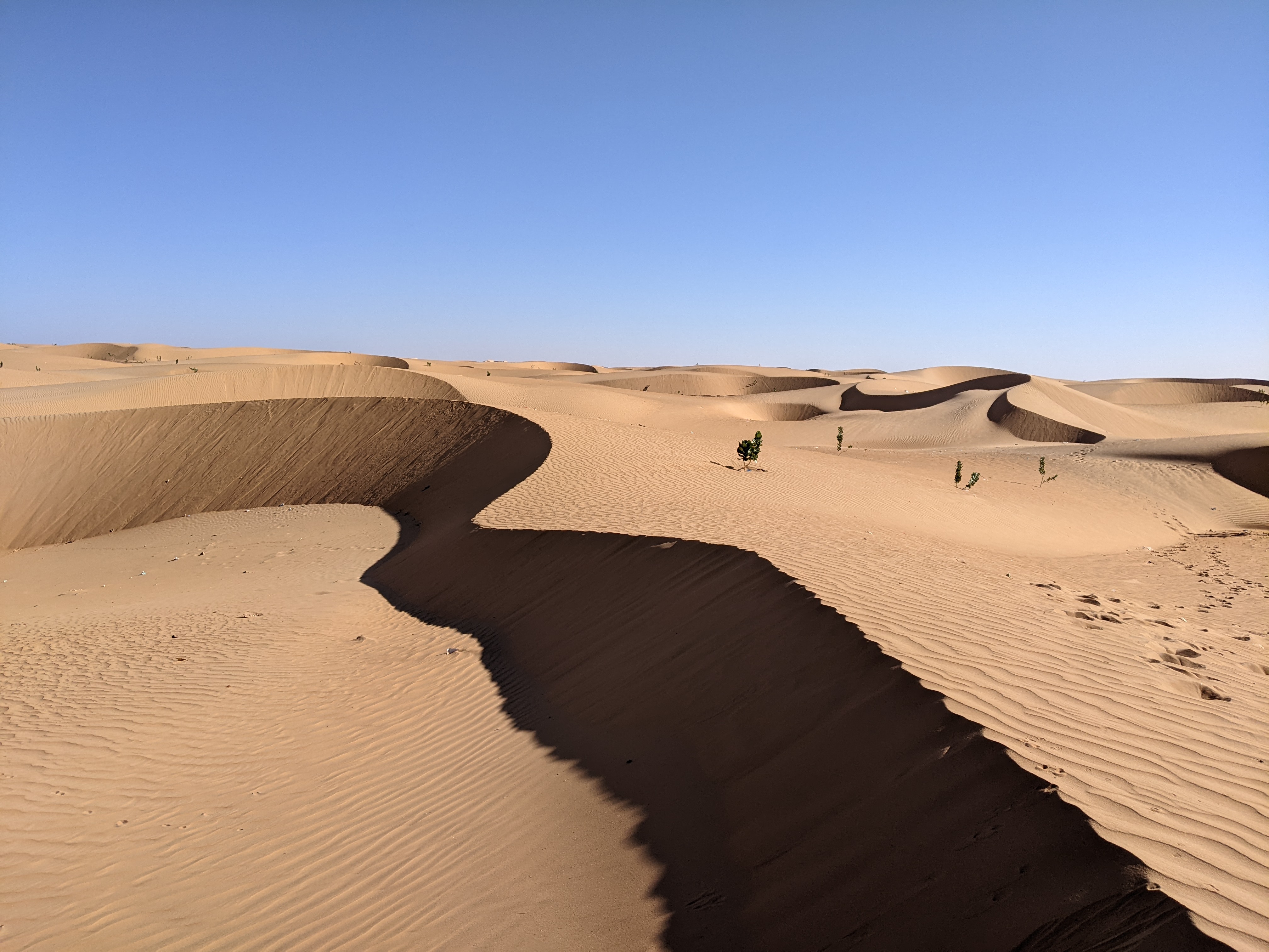 Rolling Saharan dunes near Chinguetti under a clear blue sky