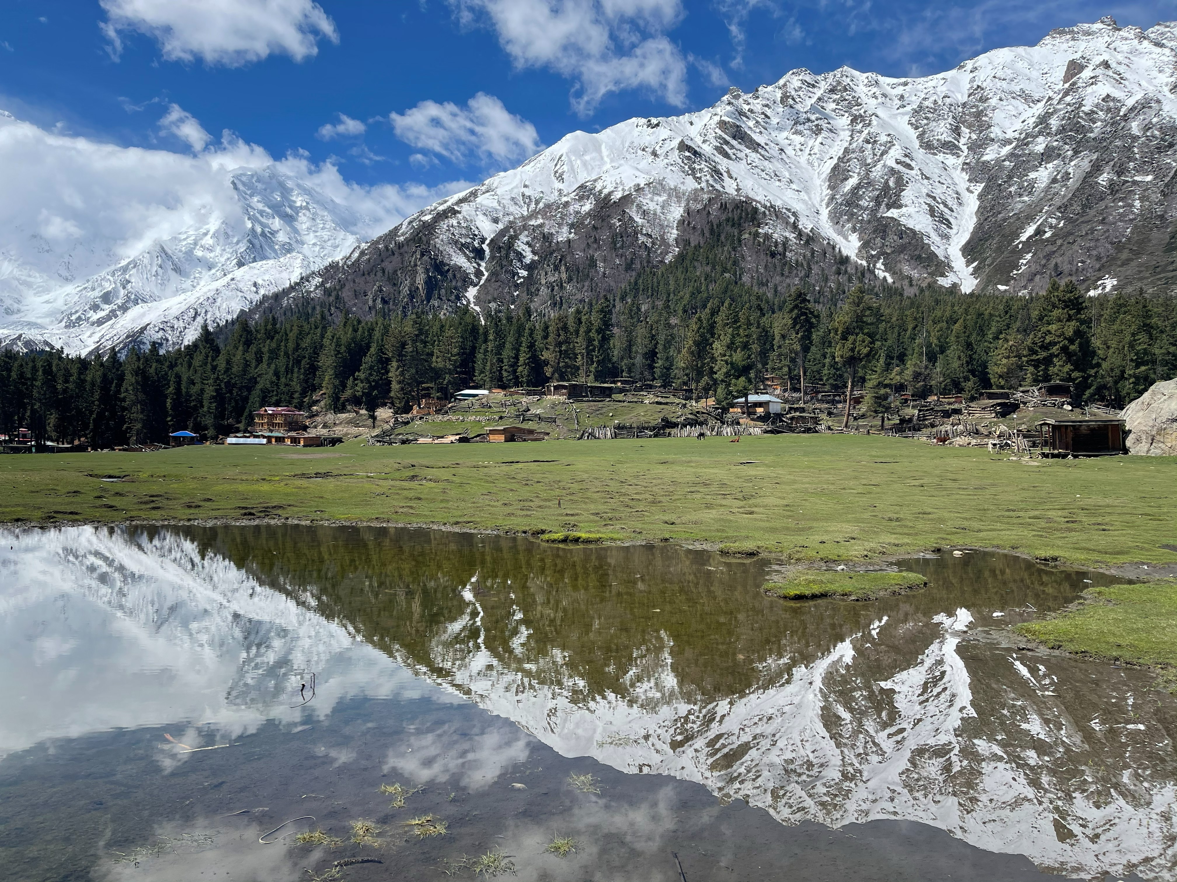 Green alpine meadow with wooden lodges and pine forest, the snow-capped peaks reflected in a still pond at Fairy Meadows