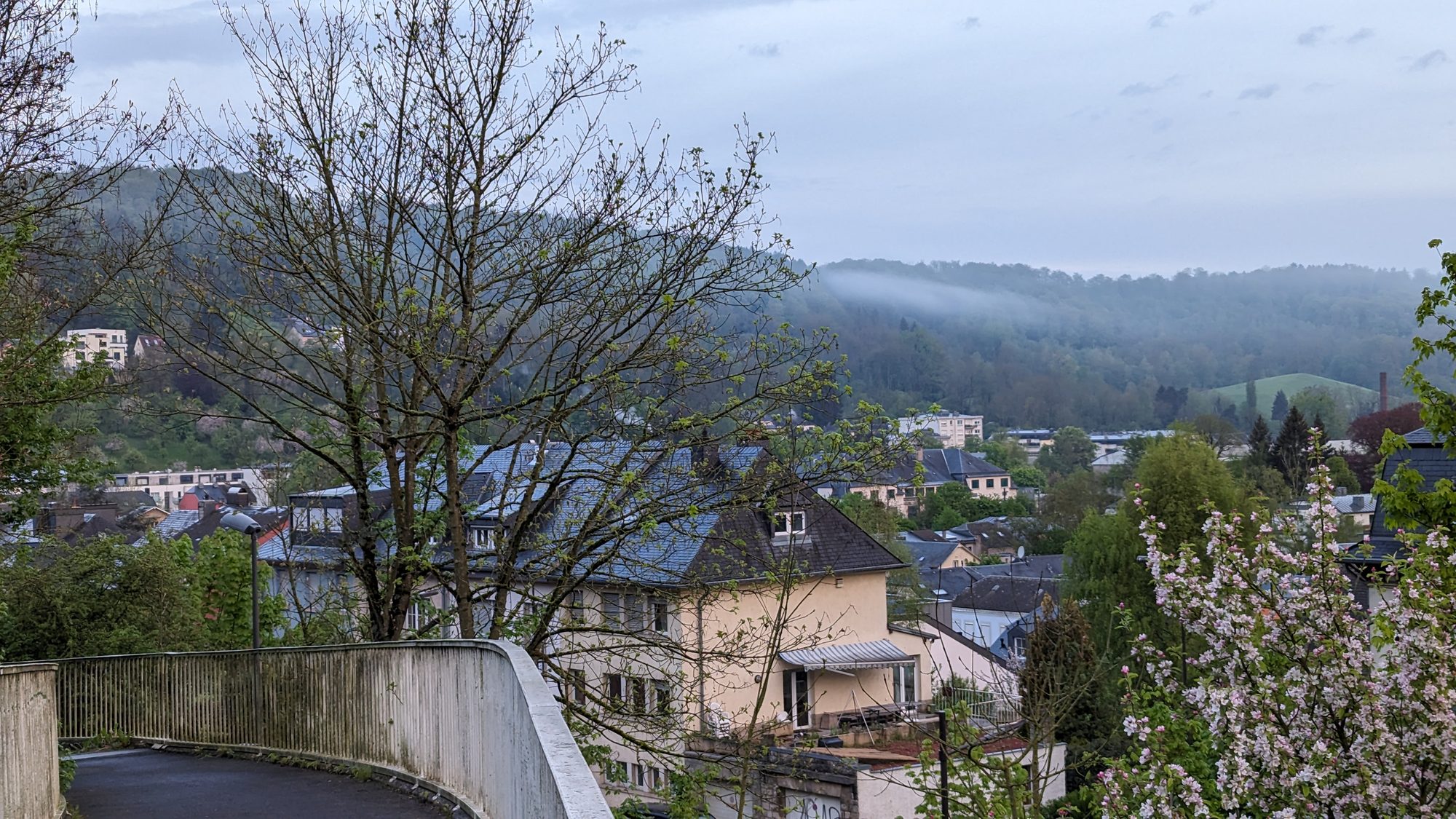 Misty morning over a small Luxembourg valley town with wooded hills and spring blossom