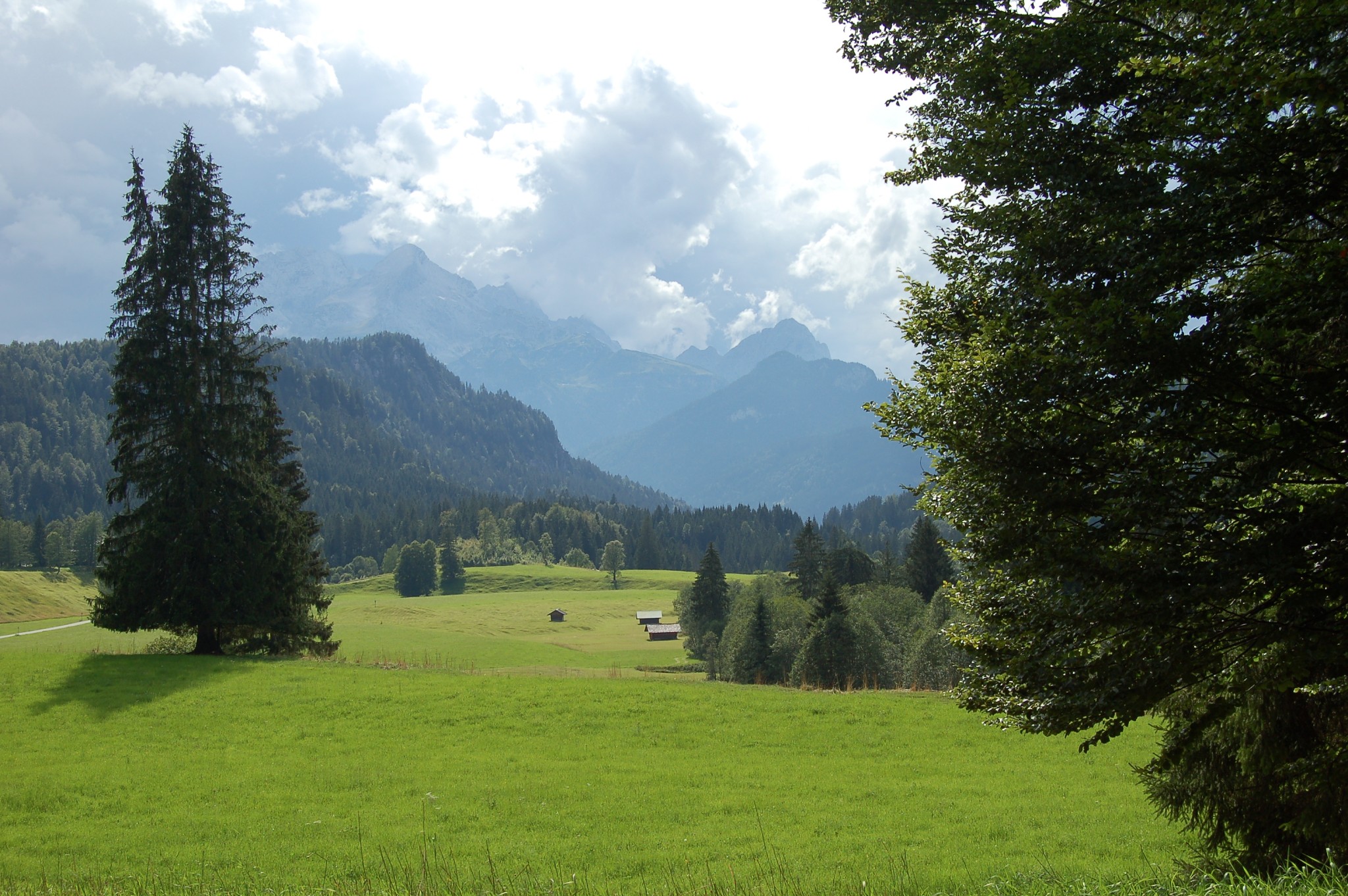 Green Alpine meadow and hazy mountain layers near Mittenwald